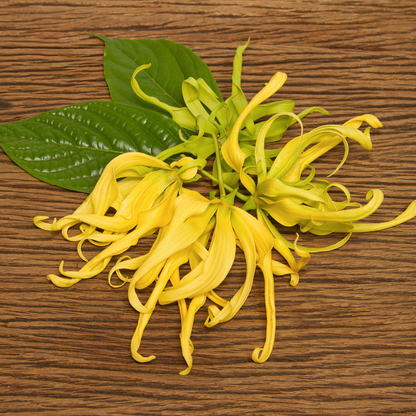 Ylang Ylang