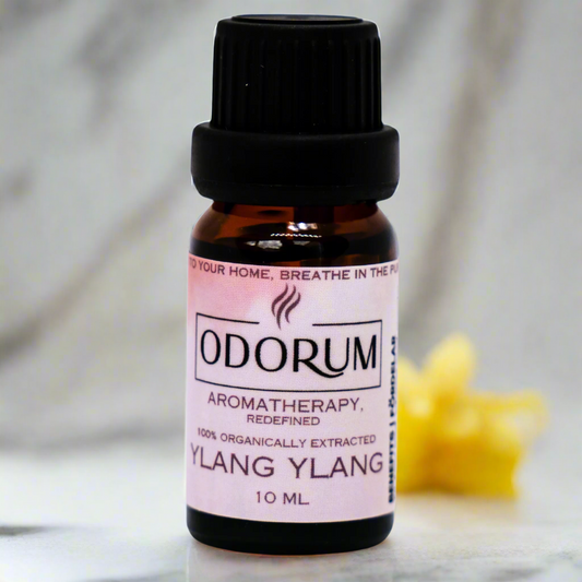 Ylang Ylang