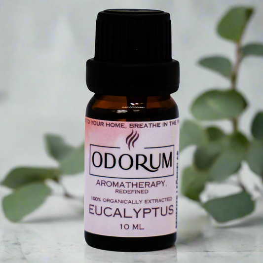Eucalyptus