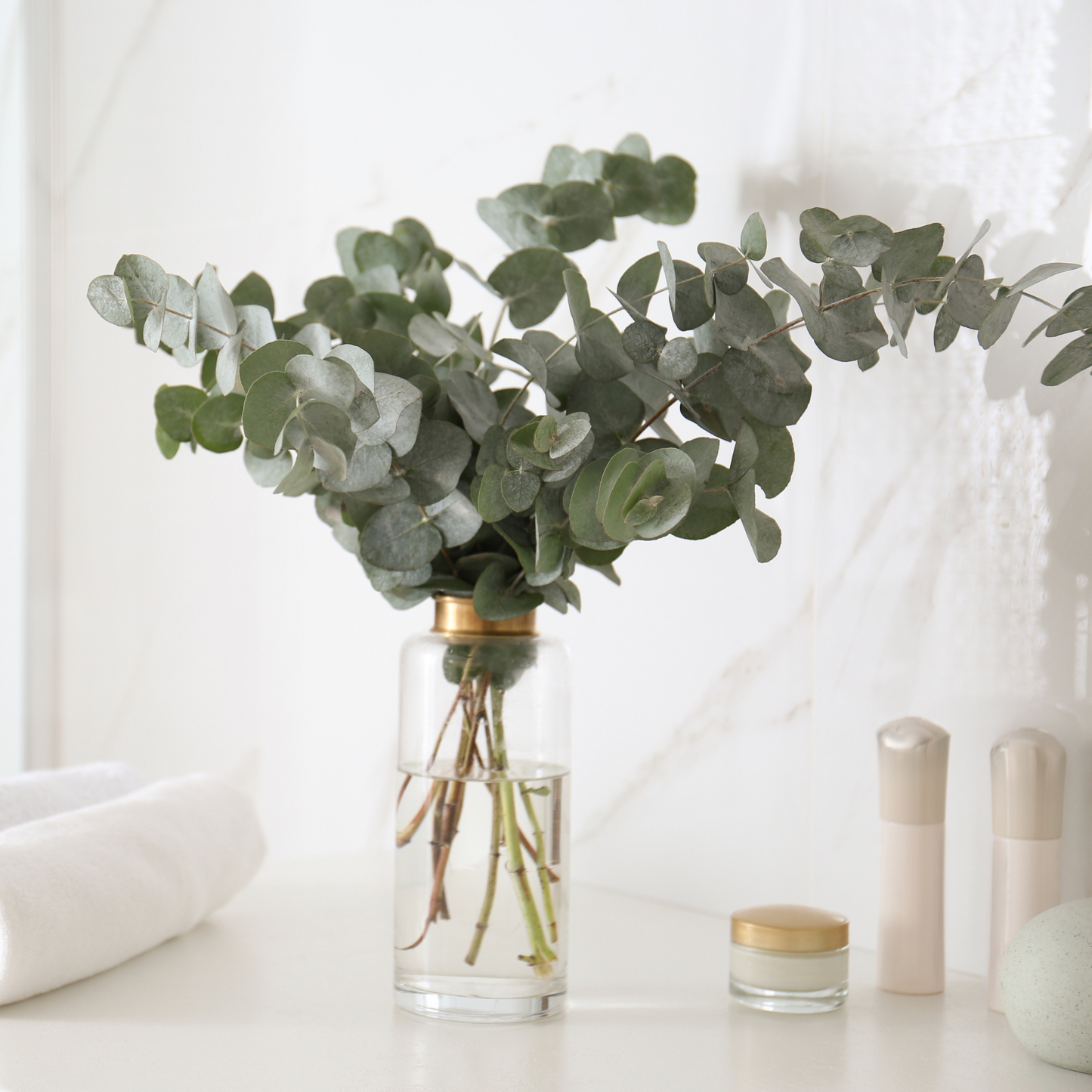 Eucalyptus