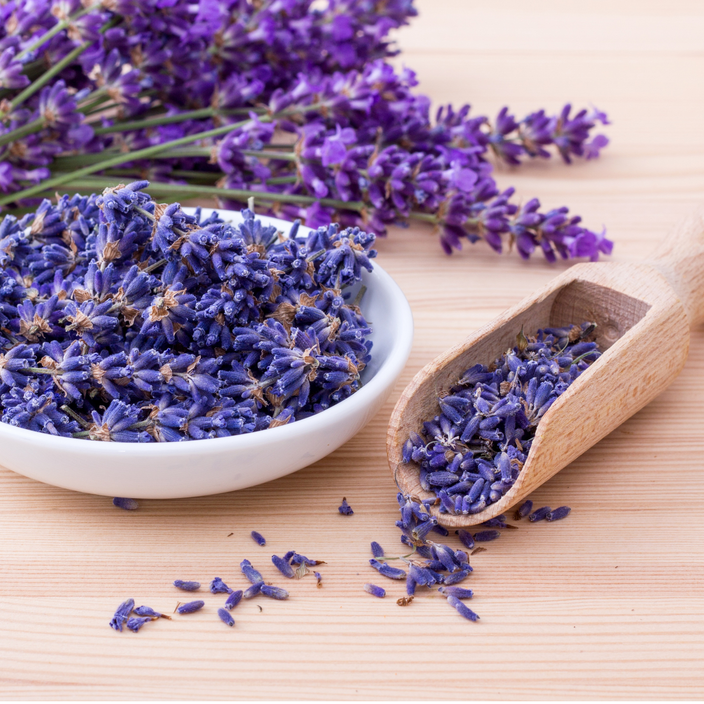 Lavender