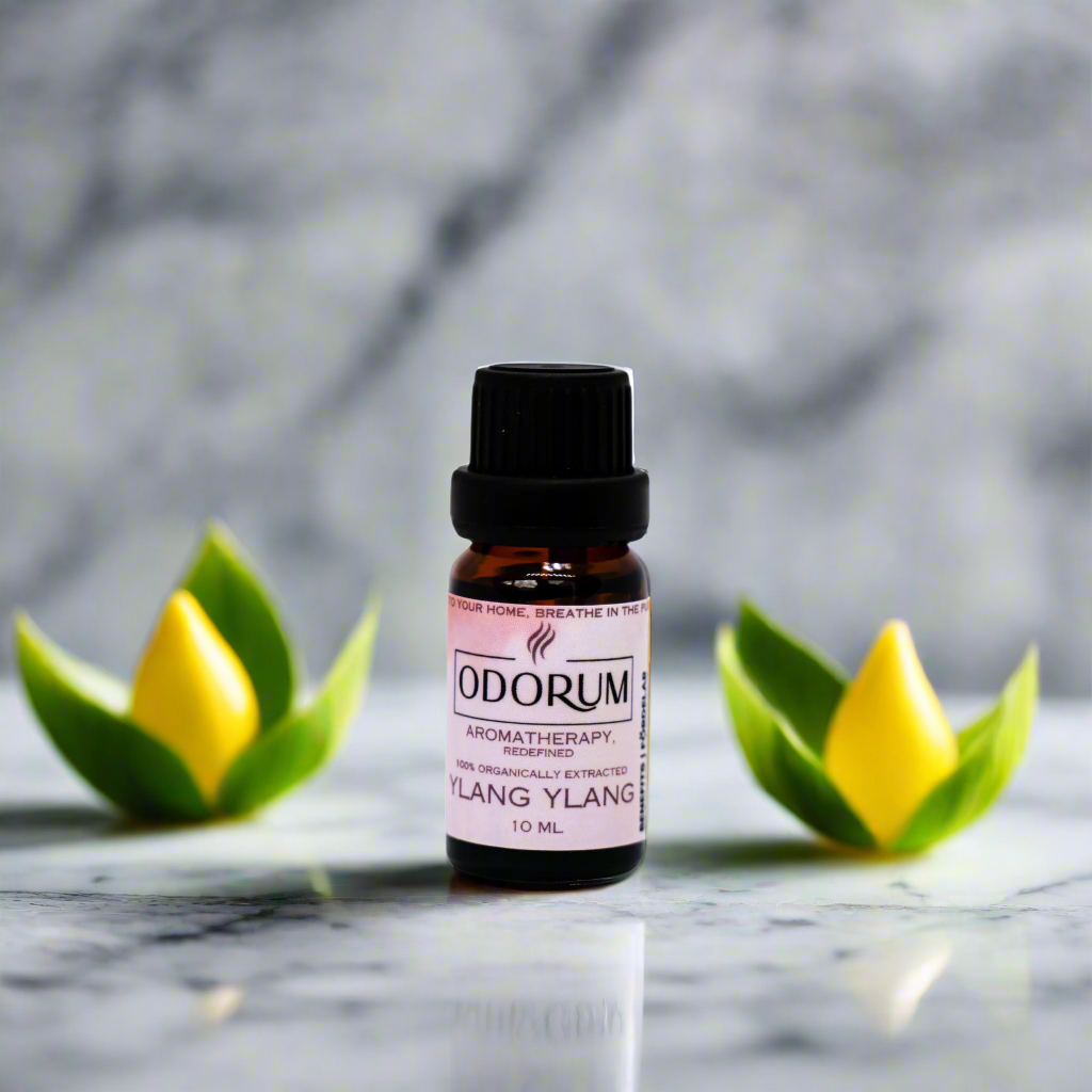 Ylang Ylang